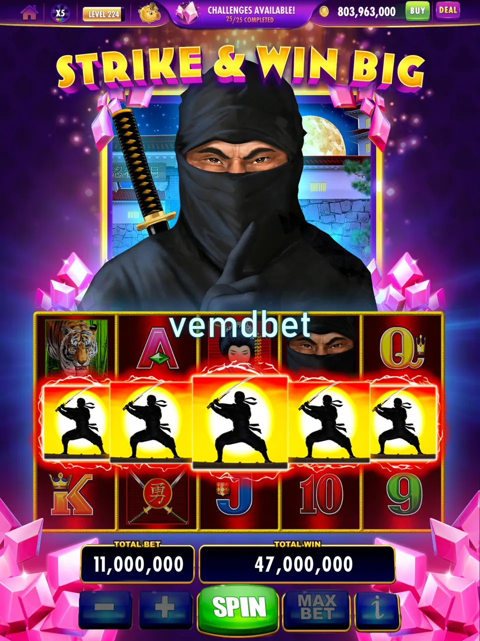vemdbet Capturas de tela Oficial APK
